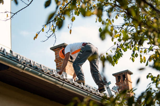 Best Rubber Roofing (EPDM, TPO)  in Villa Park, CA