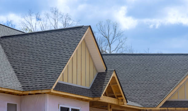 Best Roof Moss and Algae Removal  in Villa Park, CA