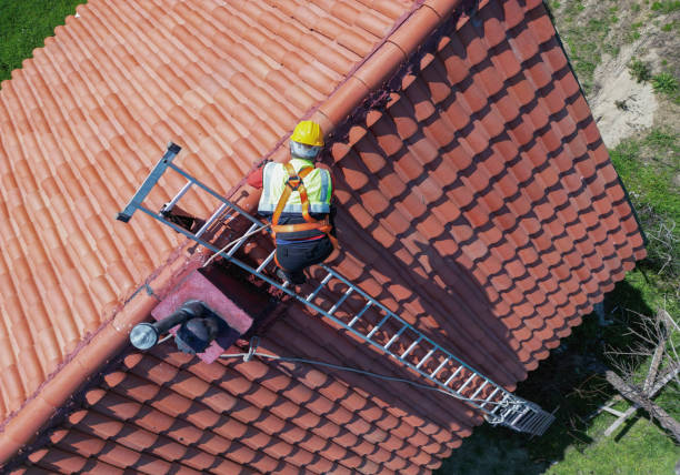 Best Roof Maintenance and Cleaning  in Villa Park, CA